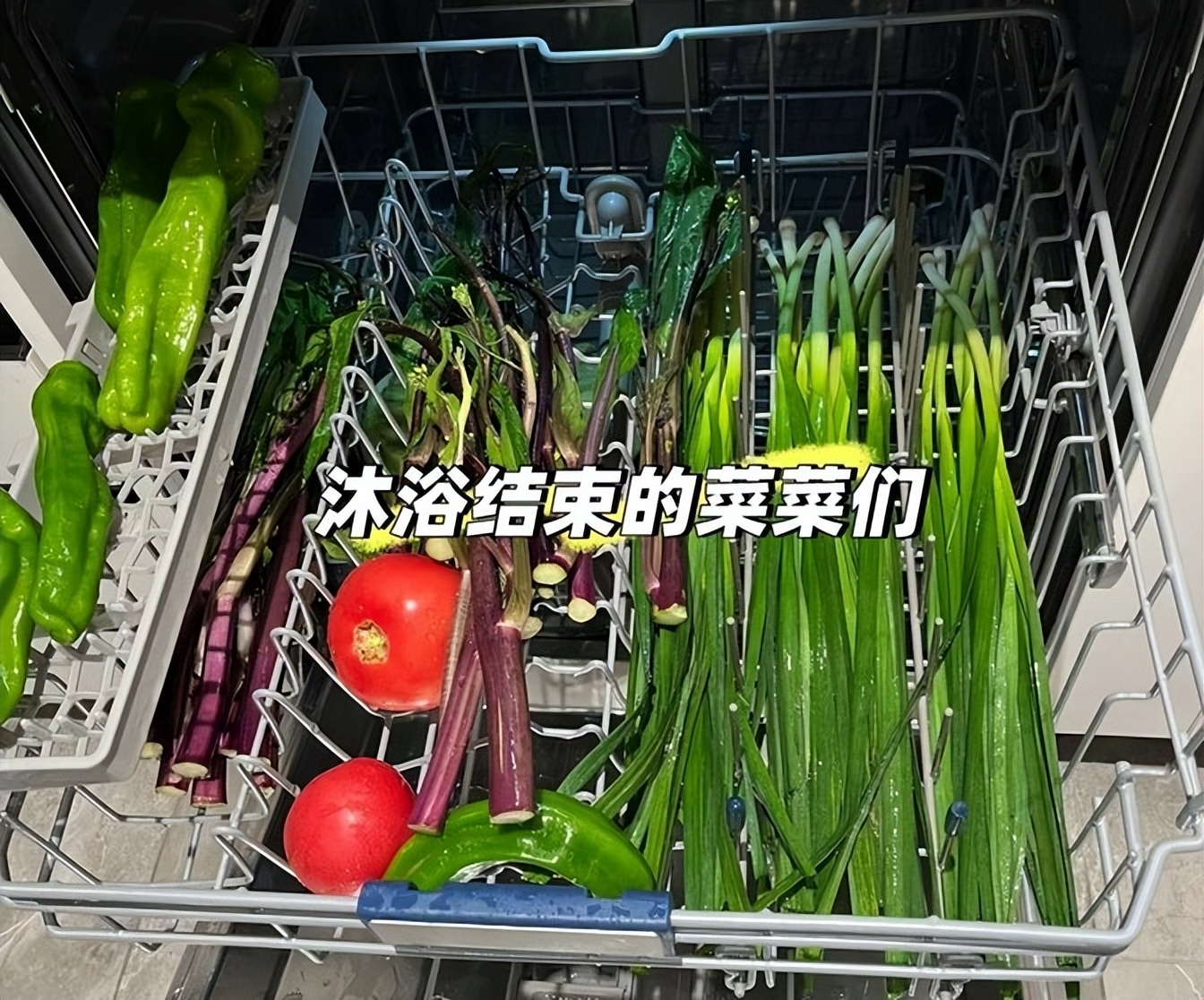 收拾东西的收拾_生活技能收拾玩具教案_收拾东西生活技能