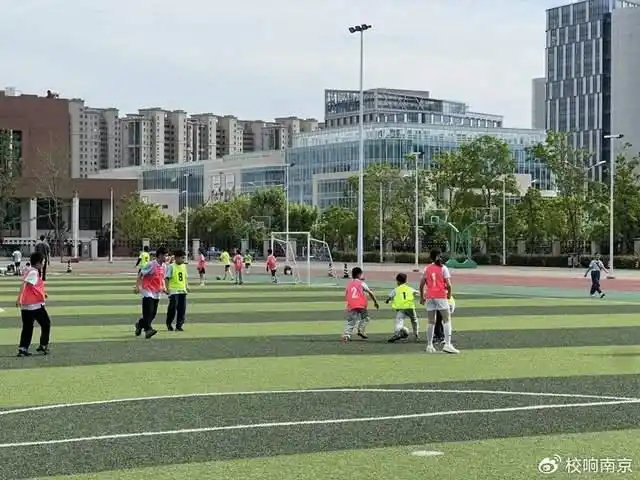 足球杯冠军简单介绍_足球冠军的奖杯_简单足球冠军杯