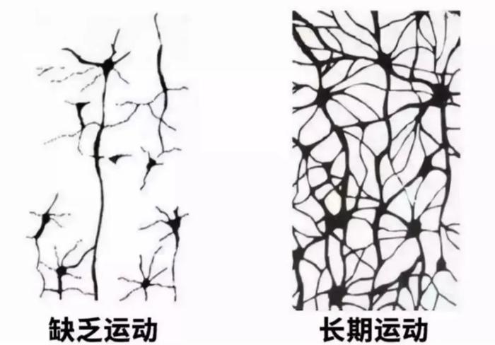 抑郁症健身_抑郁症患者健身有改善吗_健身房运动抑郁症